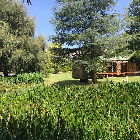 Meadow Lane Country Cottages Underberg Bilik gambar